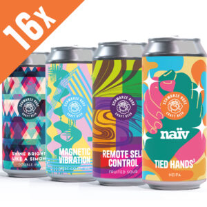 Bundle aus 16 Dosen inklusive Tied Hands NEIPA, Magnetic Vibrations West Coast IPA, Remote Self Control Fruited Sour & Shine Bright Like A Simon Double IPA